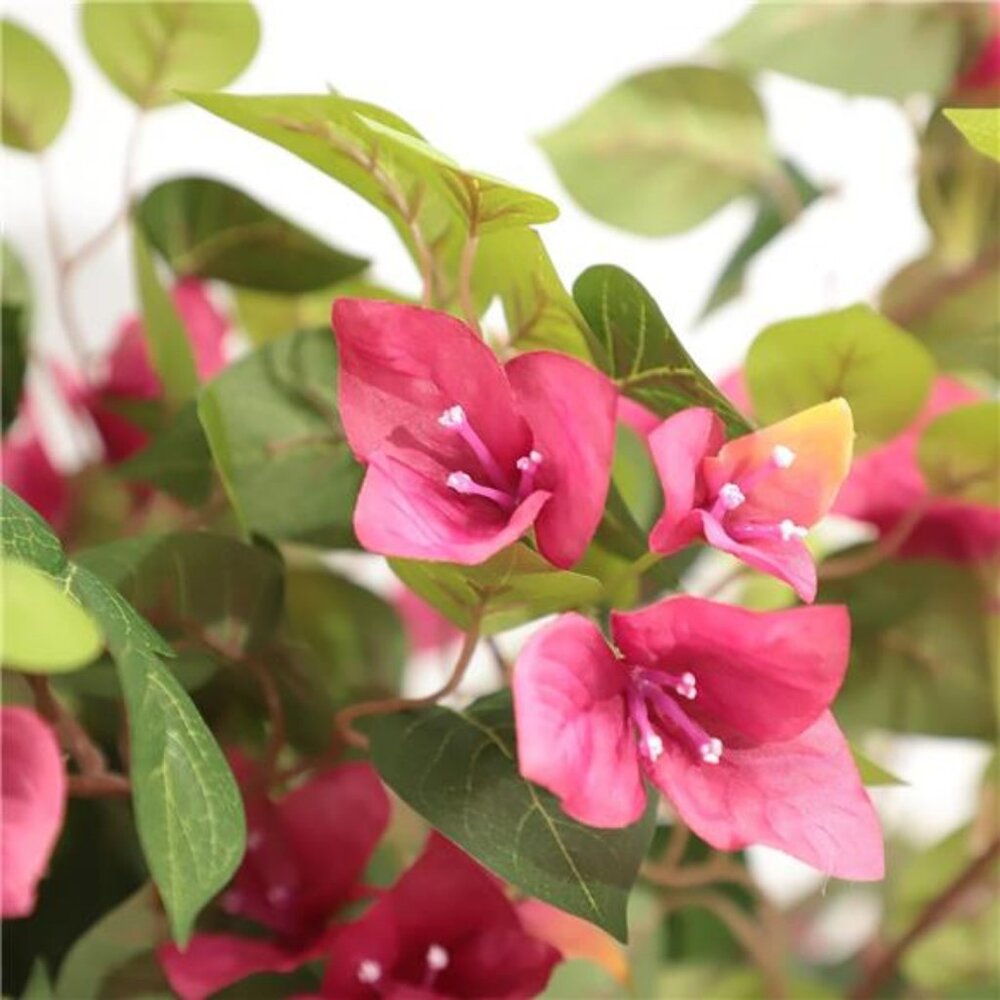 5 Feet Artificial Bougainvillea Tree with Flowers in Plastic Pot Faux Blooming - Picture 3 of 7